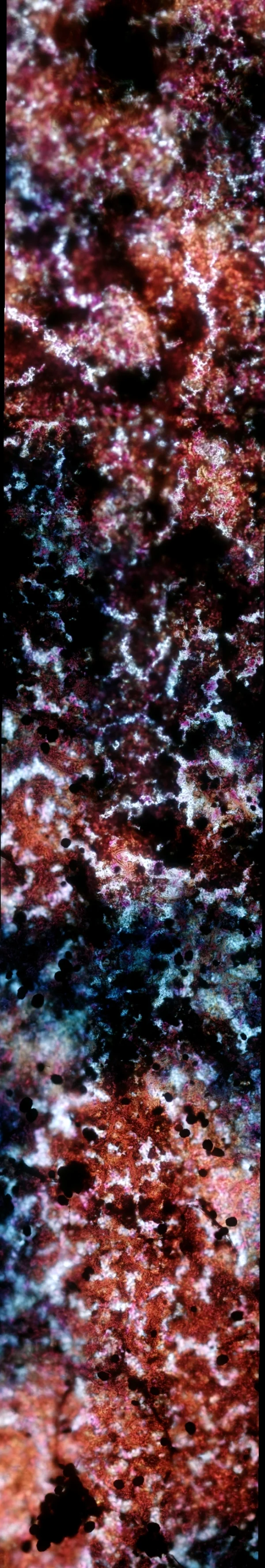 U4